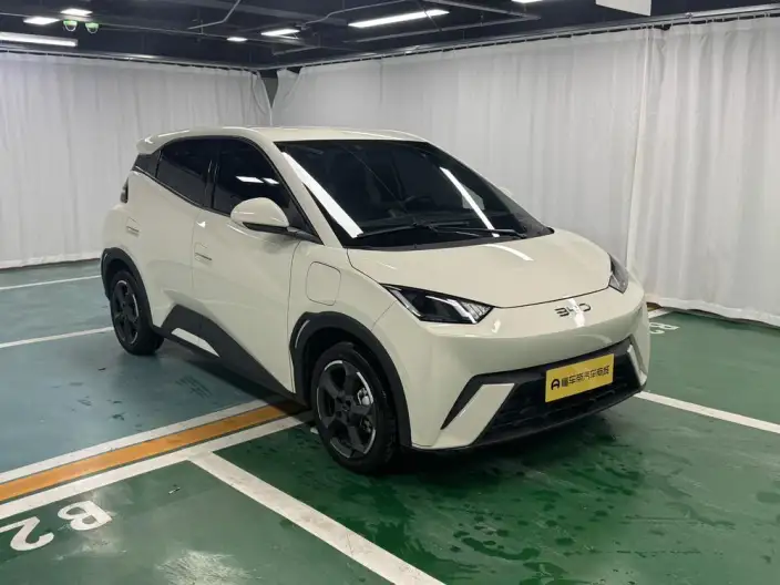 BYD Seagull 2024 Model Honor Edition 405KM Feixiang Edition – фото 3