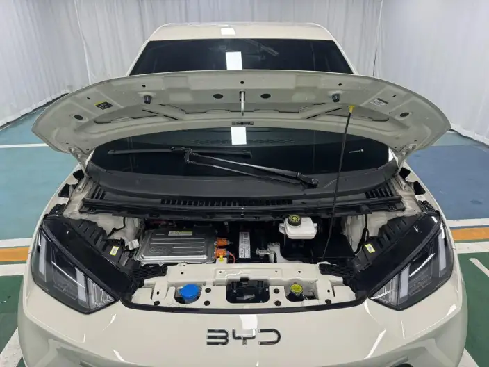 BYD Seagull 2024 Model Honor Edition 405KM Feixiang Edition – фото 10