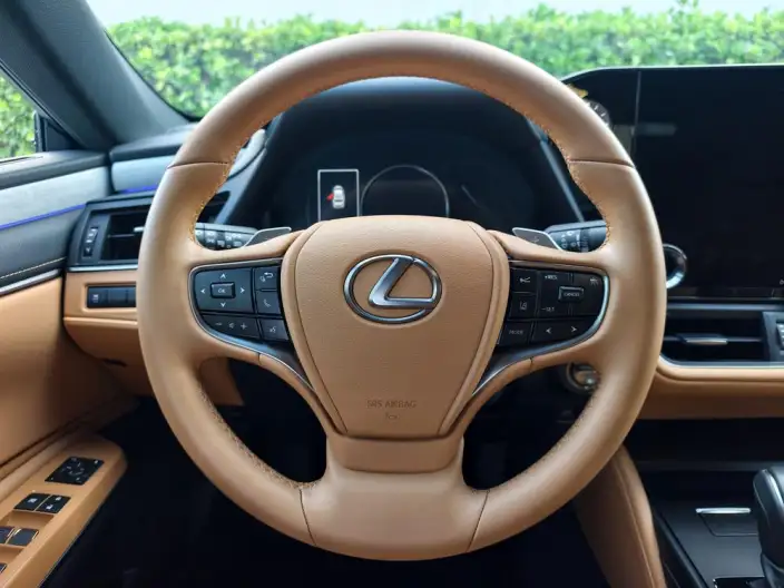 Lexus ES 2025 Model 300h Premium – фото 21
