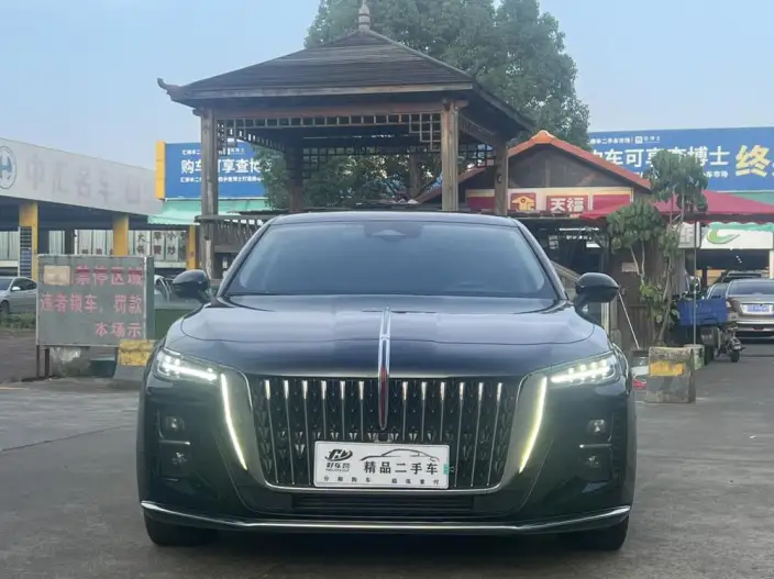 Hongqi H5 2023 Model 2.0T Automatic Flag Lead Edition – фото 2