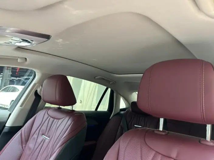 Hongqi H5 2023 Model 2.0T Automatic Flag Lead Edition – фото 18