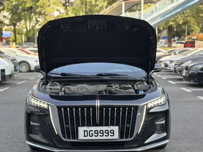 Hongqi H5 2024 Model 1.5T DCT Flag Rhythm Edition – фото 7