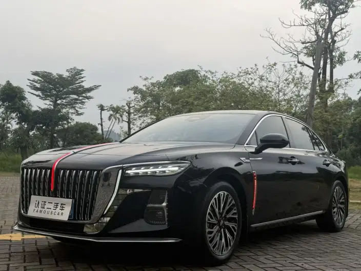 Hongqi H5 2024 Model 2.0T Automatic Flag Enjoy Edition – фото 1