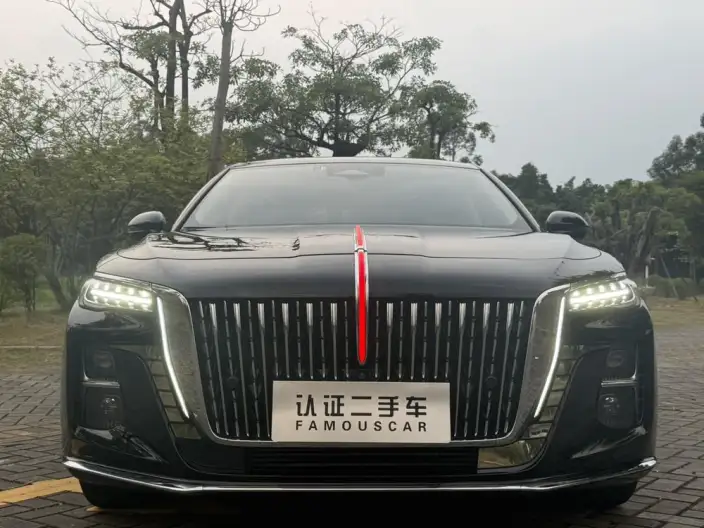 Hongqi H5 2024 Model 2.0T Automatic Flag Enjoy Edition – фото 2