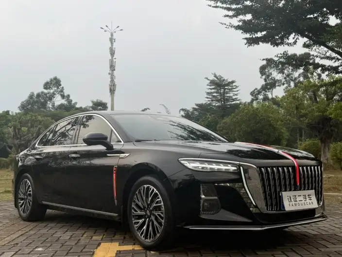 Hongqi H5 2024 Model 2.0T Automatic Flag Enjoy Edition – фото 3