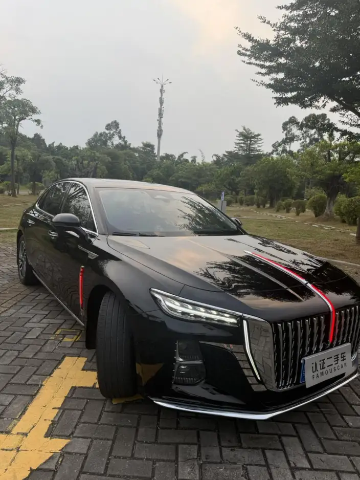 Hongqi H5 2024 Model 2.0T Automatic Flag Enjoy Edition – фото 9