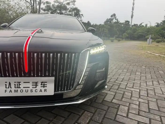 Hongqi H5 2024 Model 2.0T Automatic Flag Enjoy Edition – фото 10