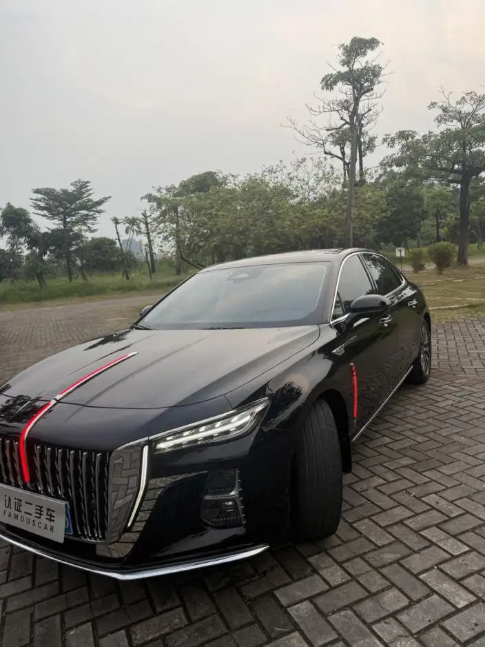 Hongqi H5 2024 Model 2.0T Automatic Flag Enjoy Edition – фото 15