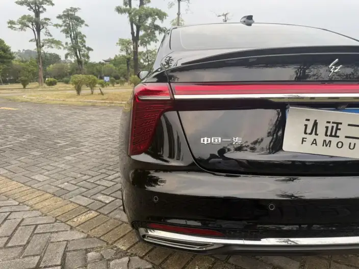 Hongqi H5 2024 Model 2.0T Automatic Flag Enjoy Edition – фото 16