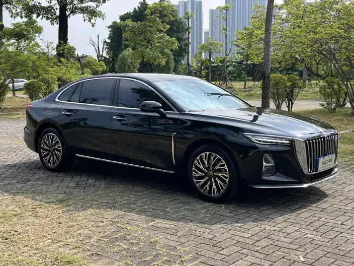 Hongqi H5 2025 Model 2.0T Automatic Flag Enjoy Edition – фото 3