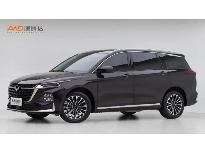 Wuling Victory 2023 Model 2.0L DHT Luxury Model – фото 1
