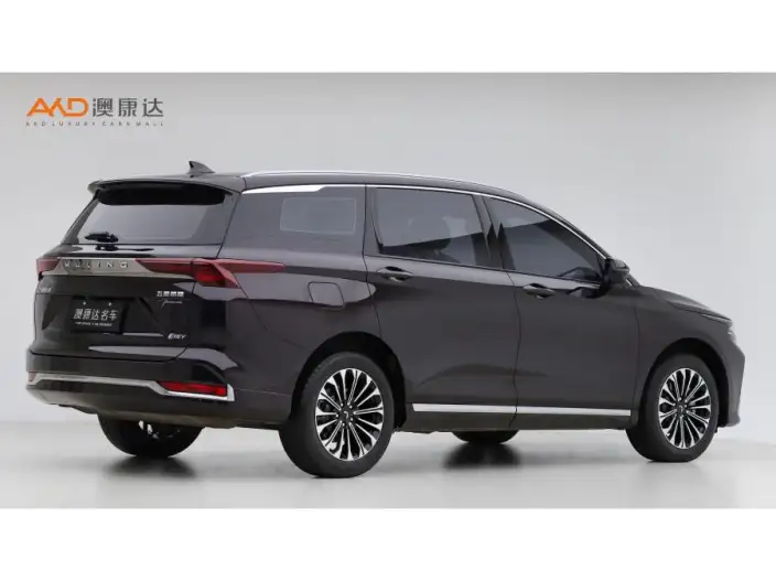 Wuling Victory 2023 Model 2.0L DHT Luxury Model – фото 4