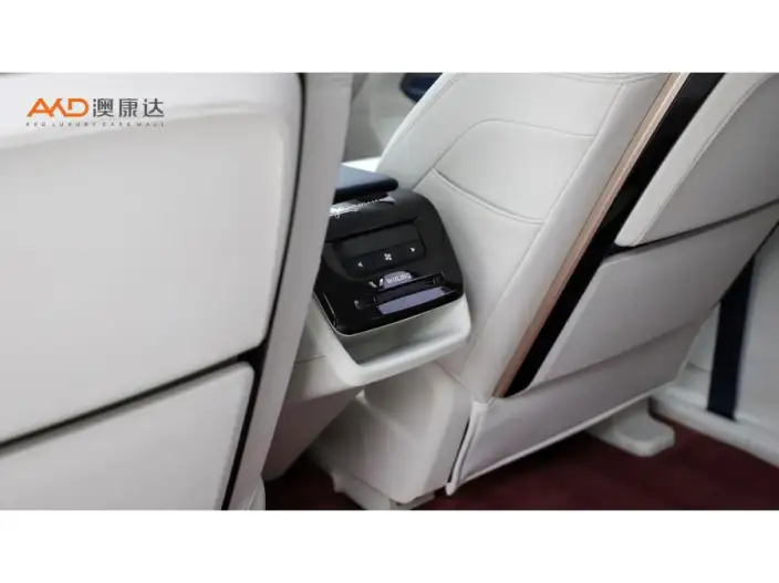 Wuling Victory 2023 Model 2.0L DHT Luxury Model – фото 5