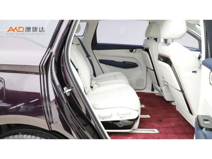 Wuling Victory 2023 Model 2.0L DHT Luxury Model – фото 8