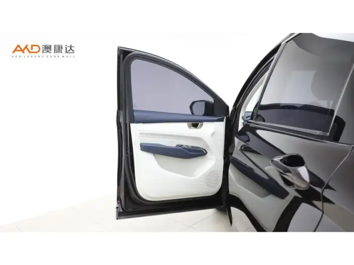Wuling Victory 2023 Model 2.0L DHT Luxury Model – фото 10