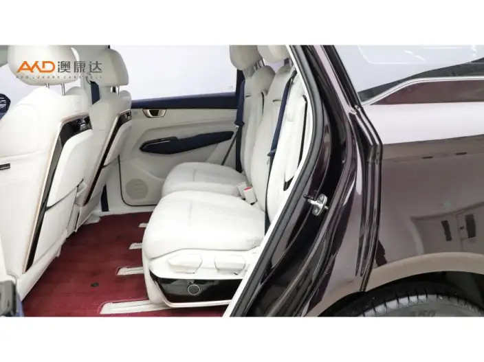 Wuling Victory 2023 Model 2.0L DHT Luxury Model – фото 11
