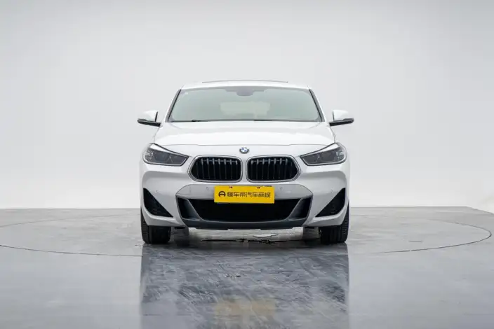 BMW X2 2020 Model sDrive25i Leading Model M Sports Set – фото 2