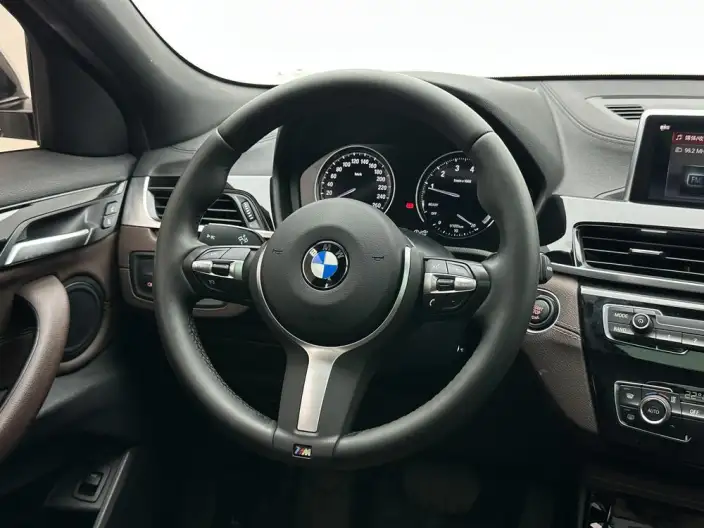BMW X2 2020 Model sDrive25i Leading Model M Sports Set – фото 16