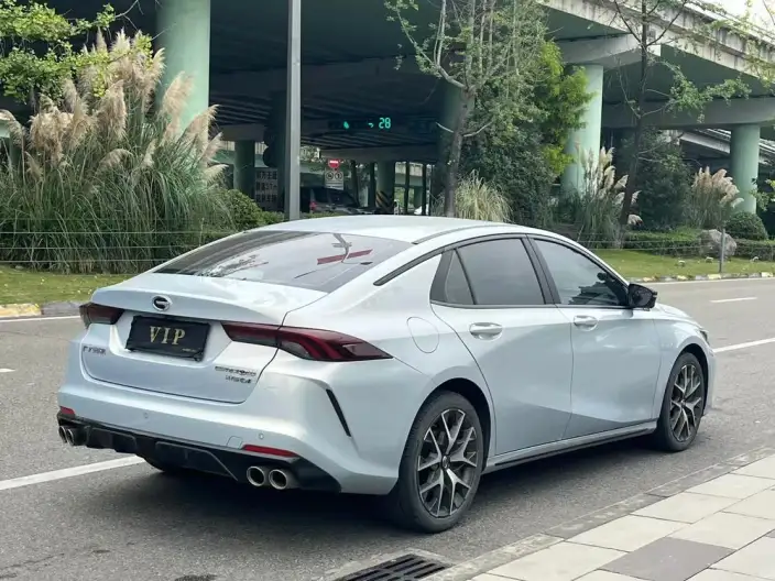 Emzoom 2023 Model 2.0L DHT Smart Hybrid version – фото 7