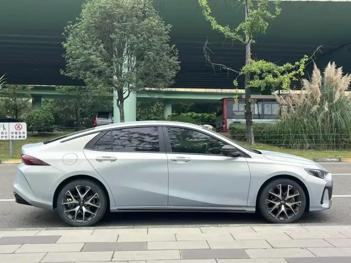 Emzoom 2023 Model 2.0L DHT Smart Hybrid version – фото 8