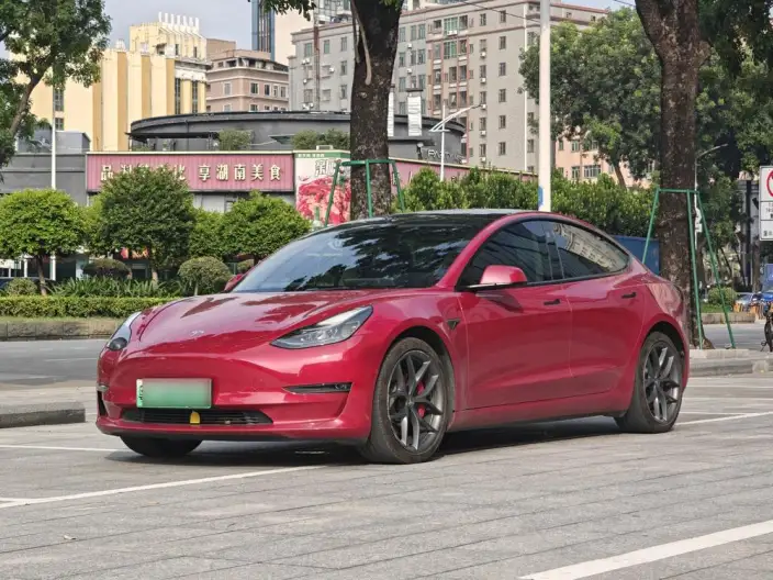 Model 3 2022 Model Performance High performance All-wheel drive version – фото 1
