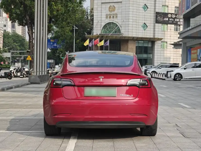Model 3 2022 Model Performance High performance All-wheel drive version – фото 6