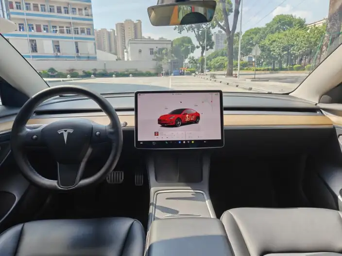 Model 3 2022 Model Performance High performance All-wheel drive version – фото 14
