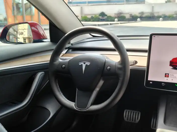 Model 3 2022 Model Performance High performance All-wheel drive version – фото 15