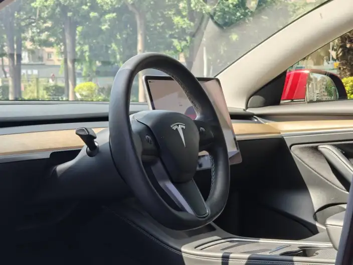 Model 3 2022 Model Performance High performance All-wheel drive version – фото 17