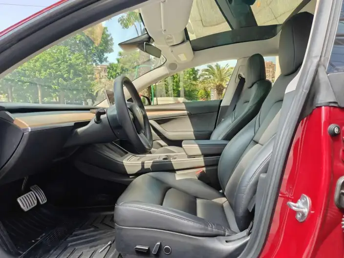 Model 3 2022 Model Performance High performance All-wheel drive version – фото 18