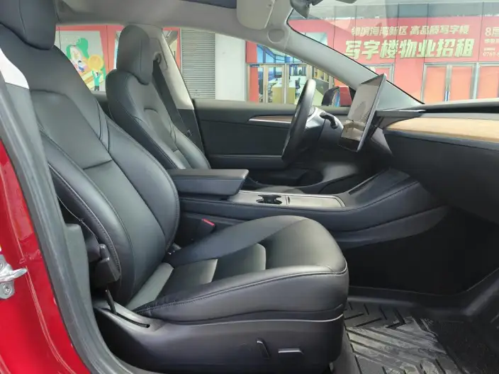 Model 3 2022 Model Performance High performance All-wheel drive version – фото 26