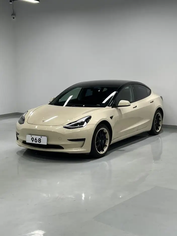 Model 3 2020 Model Standard Battery Life Rear Drive L Class Edition – фото 1