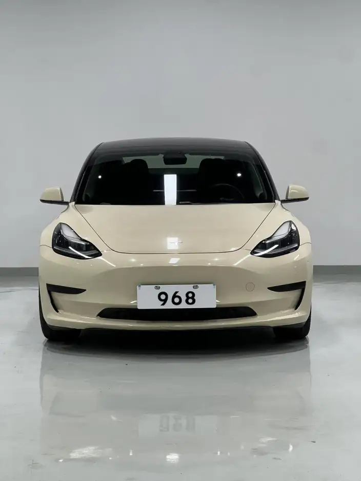 Model 3 2020 Model Standard Battery Life Rear Drive L Class Edition – фото 2