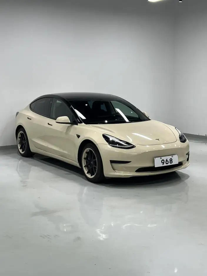 Model 3 2020 Model Standard Battery Life Rear Drive L Class Edition – фото 3