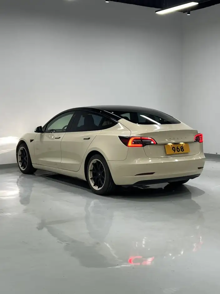 Model 3 2020 Model Standard Battery Life Rear Drive L Class Edition – фото 4