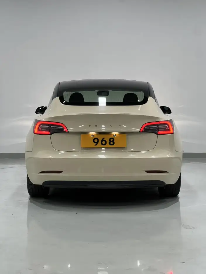 Model 3 2020 Model Standard Battery Life Rear Drive L Class Edition – фото 5