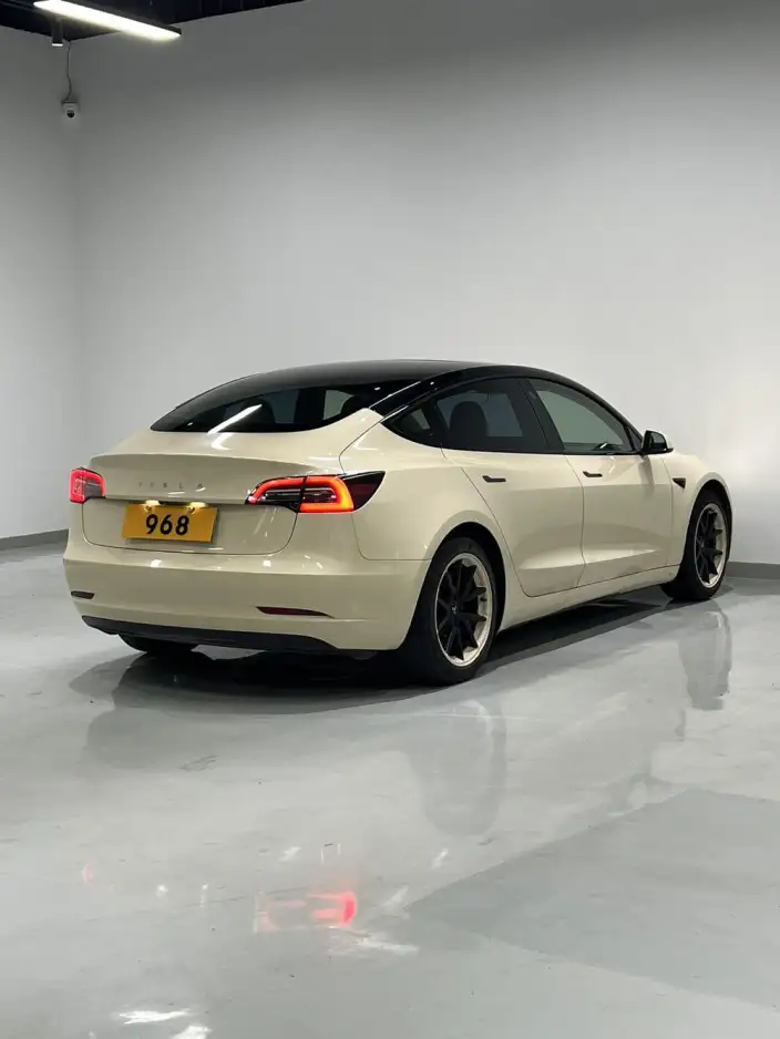 Model 3 2020 Model Standard Battery Life Rear Drive L Class Edition – фото 6