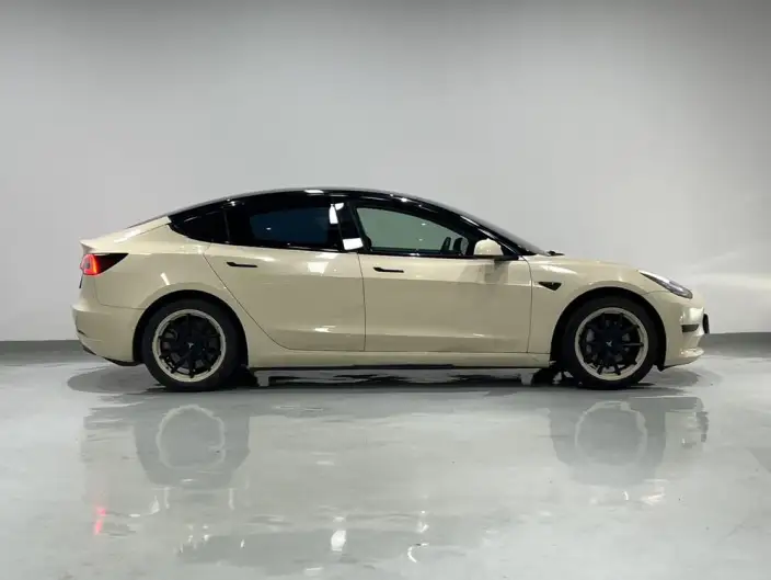 Model 3 2020 Model Standard Battery Life Rear Drive L Class Edition – фото 7