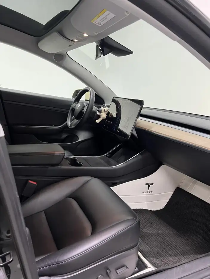 Model 3 2020 Model Standard Battery Life Rear Drive L Class Edition – фото 8