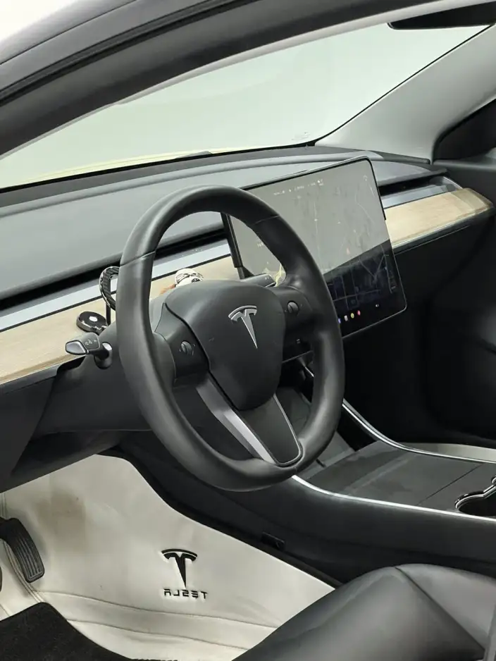 Model 3 2020 Model Standard Battery Life Rear Drive L Class Edition – фото 11