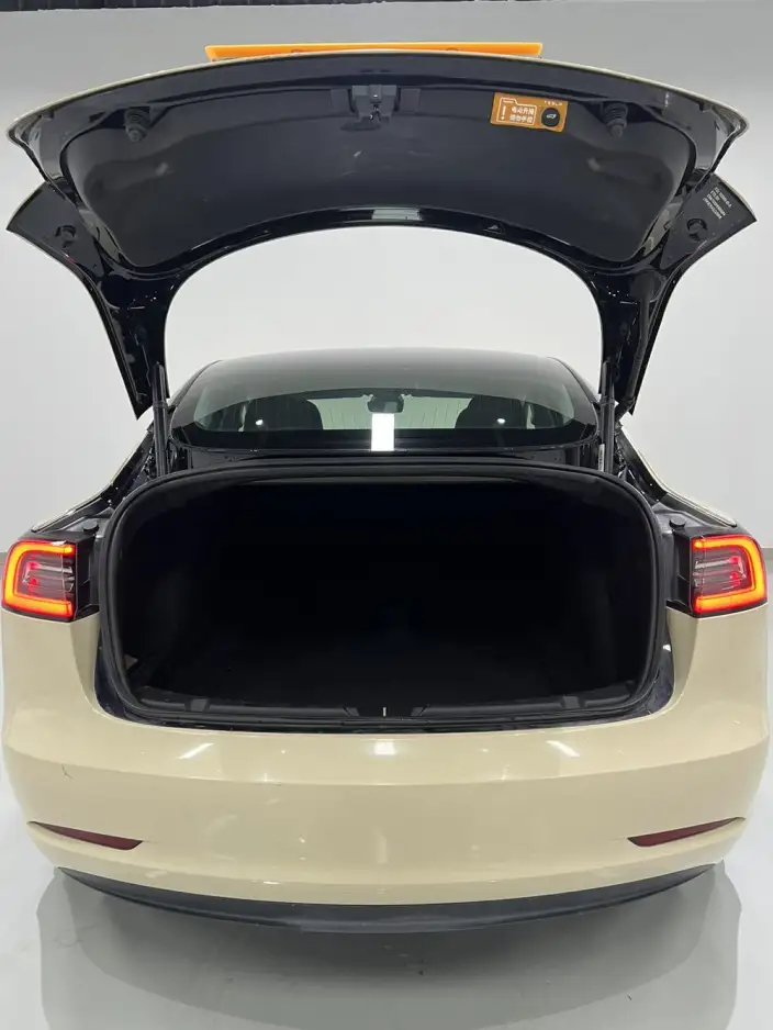 Model 3 2020 Model Standard Battery Life Rear Drive L Class Edition – фото 17