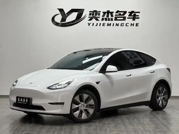 Model Y 2021 Model Standard Battery Life Rear-wheel drive version – фото 1