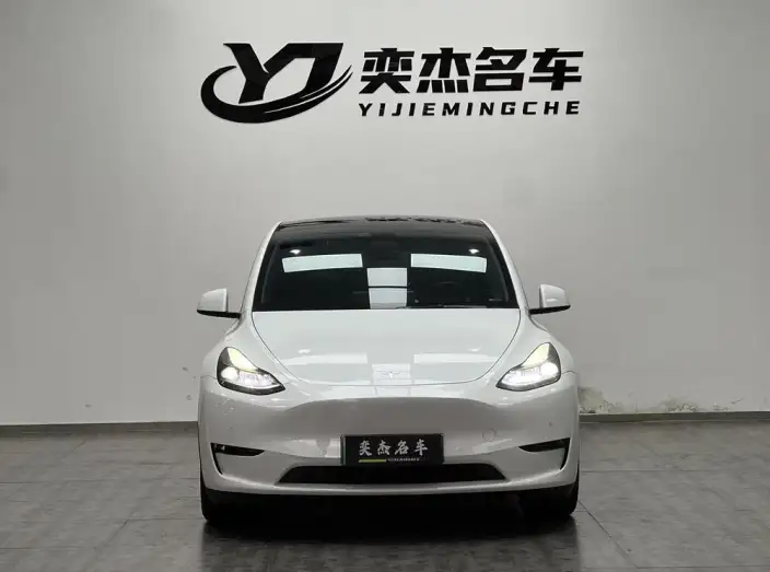 Model Y 2021 Model Standard Battery Life Rear-wheel drive version – фото 2