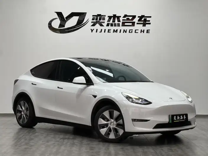 Model Y 2021 Model Standard Battery Life Rear-wheel drive version – фото 3