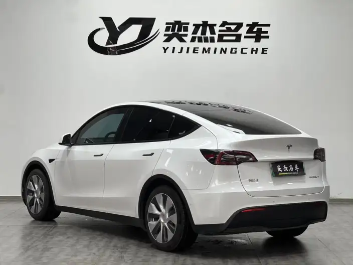 Model Y 2021 Model Standard Battery Life Rear-wheel drive version – фото 4