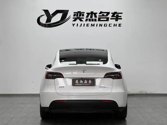 Model Y 2021 Model Standard Battery Life Rear-wheel drive version – фото 5