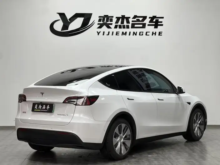 Model Y 2021 Model Standard Battery Life Rear-wheel drive version – фото 6