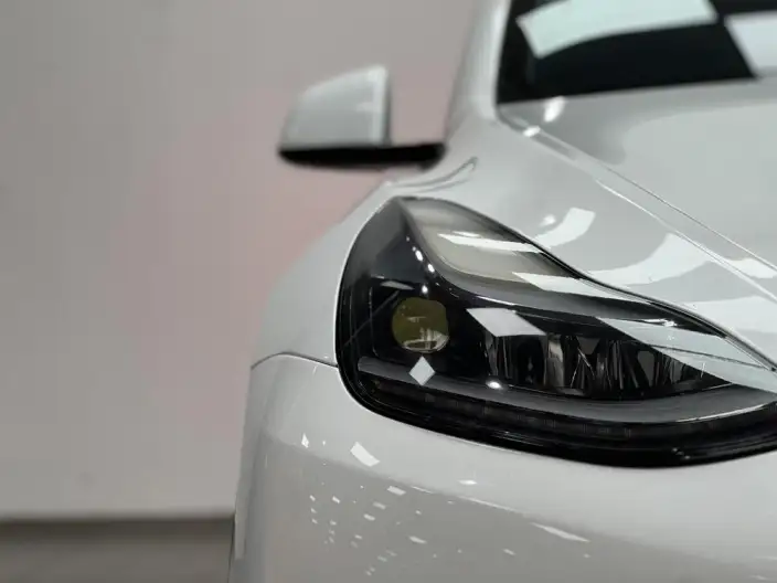 Model Y 2021 Model Standard Battery Life Rear-wheel drive version – фото 7