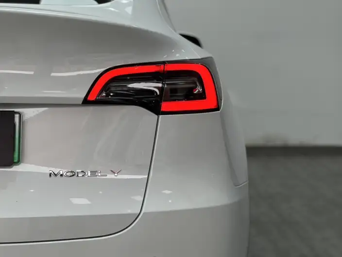 Model Y 2021 Model Standard Battery Life Rear-wheel drive version – фото 8