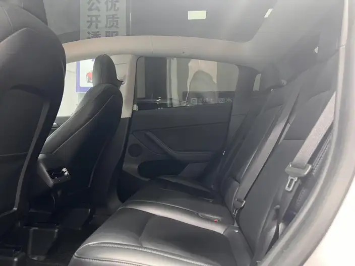 Model Y 2021 Model Standard Battery Life Rear-wheel drive version – фото 12